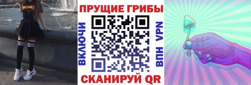 Галлюциногенные грибы мицелий  Купить  Невьянск 